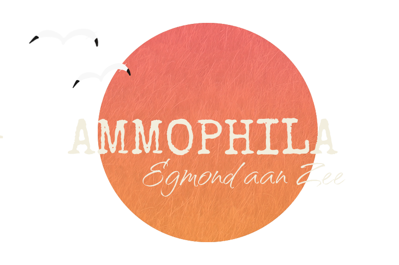 Ammophila Egmond aan Zee